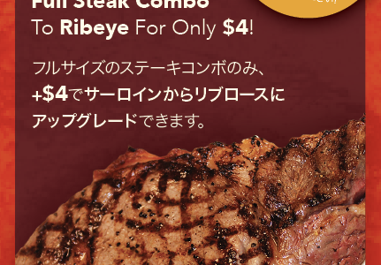 Ribeye & Shrimp combo Plate
